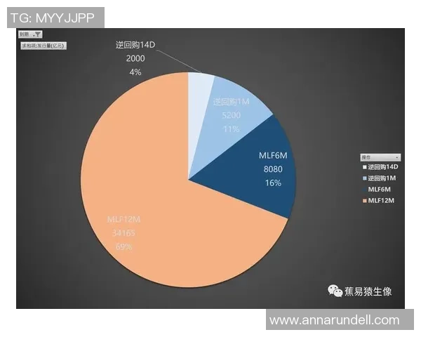 独家分析：南京羽毛球队的团队协作对比