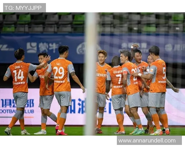 足球巨献：探秘深圳足球队的力量